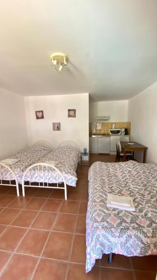 Appartements " Le Clos De La Cerisaie" Castillon-du-Gard Exterior foto